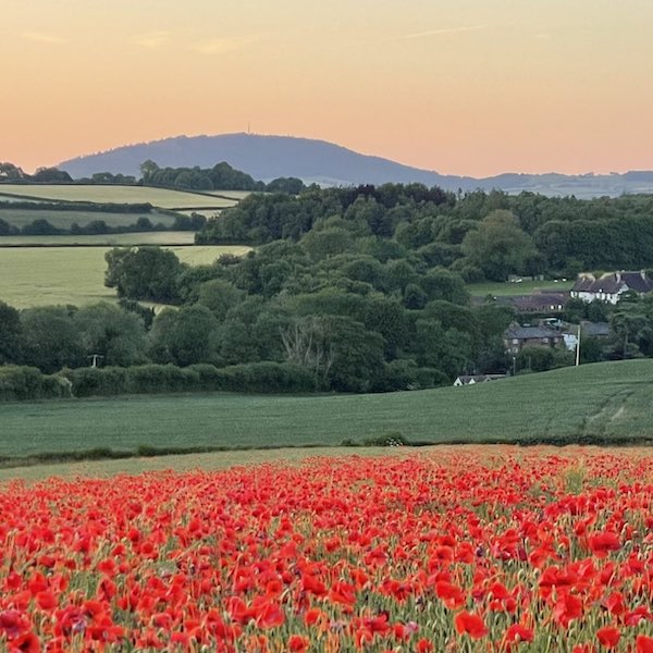 Shropshire to the Somme